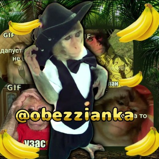 Логотип @obezzianka - Гифки с бибизьянами 🐵🙈🐒