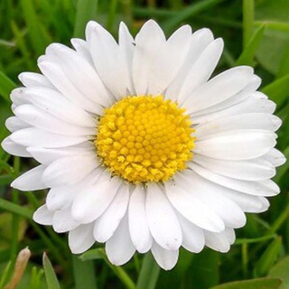 Логотип @obmio - Obmio