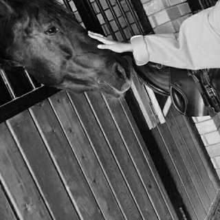 Логотип @obo_mnee - من نحن