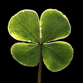 Логотип @oboi4k8k - Обои HD 4k 8k 2.0