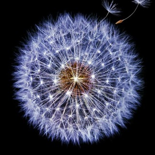 Логотип @oboi_easy - Обои Iphone Android