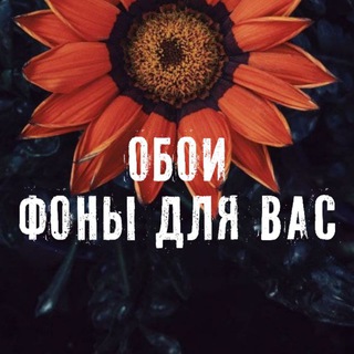 Логотип @oboi_na_tvoi_vkusi - ♥️𝑶𝒃𝒐𝒊, 𝒌𝒂𝒓𝒕𝒊𝒏𝒌𝒊, 𝒇𝒐𝒏𝒊