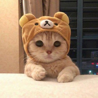 Логотип @oboi_wallpaper_explosive - ОБОИ|ᴇxᴘʟᴏsɪᴠᴇ