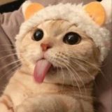 Логотип @oboichiii - ОБОИ | soft wallpaper