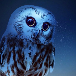 Логотип @oboiphonen - Обои на телефон, вдохновение, эстетика