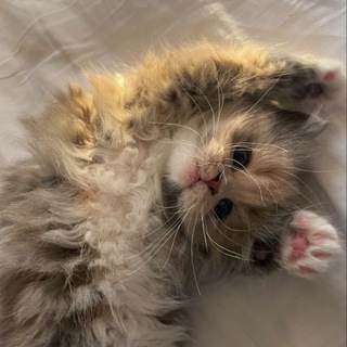 Логотип @obojayuhr - обожаю