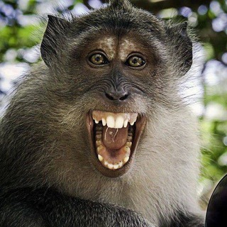 Логотип @obosatzo - Приколы