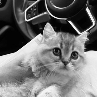 Логотип @obozhayuvii - обожаю