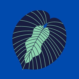 Логотип @obsct - Обществоведение ЦТ/ЦЭ