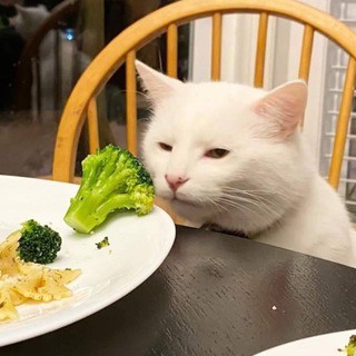 Логотип @obsessed_gen - обсисед