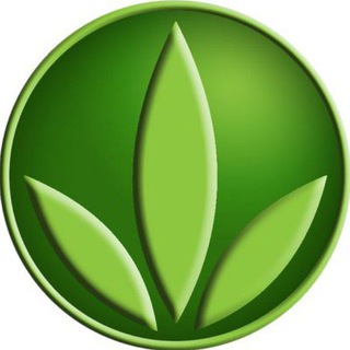 Логотип @obyllhn - Измени свою жизнь: мечтай и богатей!