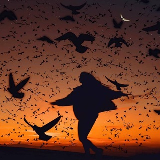 Логотип @ocean41chat - Давай поговорим 🖤