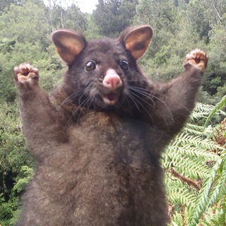 Логотип @ocen_smeshnie_gifki - Есть смешные гифки?