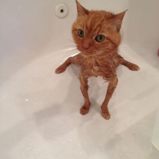 Логотип @odessa_airsoft - TG - Mrazeta