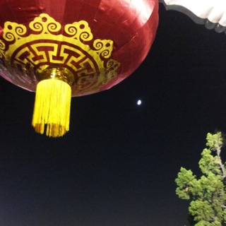 Логотип @odinkalmikidvakitaya - сверхсекретная информация