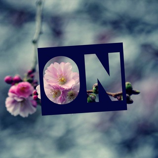 Логотип @odinnadcatoenebo - Одиннадцатое Небо