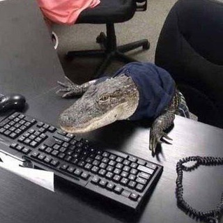 Логотип @odlolbo - цыган в сугробах