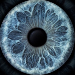 Логотип @odnaizvaschat - Поиск истины | odnaizvas