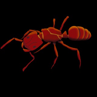 Логотип @odontblog - Odontant