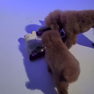 Логотип @odsuzhdeniefk - 💓любимые💓