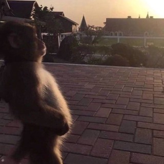 Логотип @odyssey_pishet - Щитпост консилиум