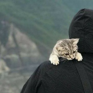 Логотип @offsoul_9 - 🥷