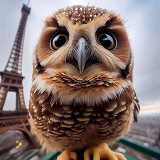 Логотип @ofmost - О самых самых...