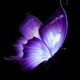 Логотип @oformleniye_instagram - 🦋Оформление Instagram🦋