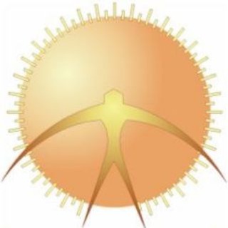 Логотип @ofsla_rus - ОФ СЛА России (сверхлегкая авиация)