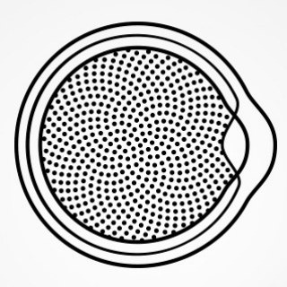 Логотип @oftalmologiya - Офтальмология