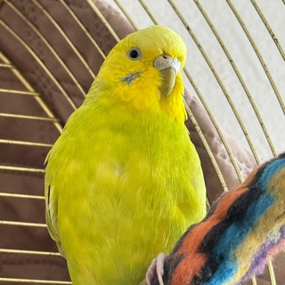 Логотип @oge_otvety - ОТВЕТЫ ОГЭ 2026