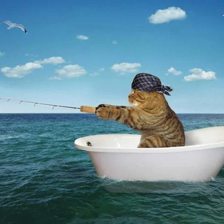 Логотип @oghota - Опрокидывающие выборы