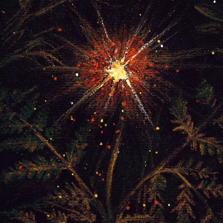 Логотип @ognennyi_cvetochek - Цветок Папоротника