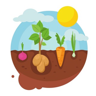 Логотип @ogodacha - 🌶 Огород и дача | Лайфхаки