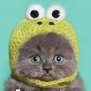 Логотип @ogoloshennya_knlu - Дошка оголошень КНЛУ