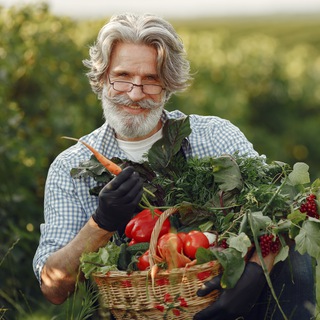 Логотип @ogorod_sad_dacha - Бывалый огородник