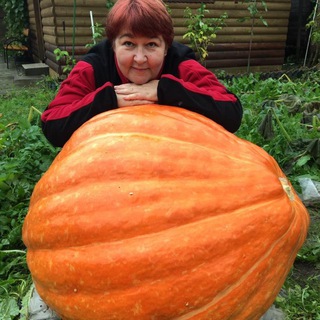 Логотип @ogorodniymaniac - ogorodniymaniac