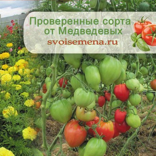 Логотип @ogorodsadmedvedevykh - Огород-сад Медведевых