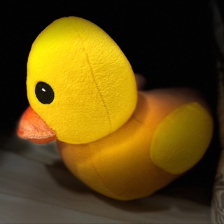Логотип @oh_my_duck - Oh my duck!