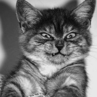 Логотип @oh_my_gosh - Омайгад