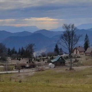 Логотип @ohacorned - Жёлудь