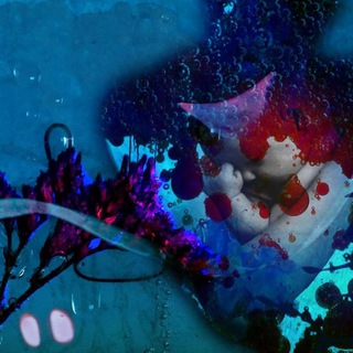 Логотип @ohikodarchannel - Ohikodar 🐇