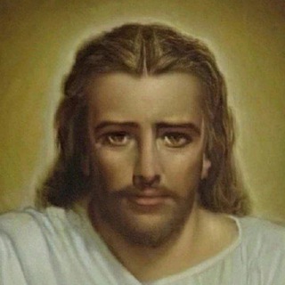 Логотип @ohladi_svoe_trahane - Ебанные комменты