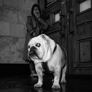 Логотип @ohmystreet - Oh My Street