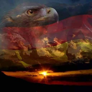 Логотип @oho11 - Patriotenkanal