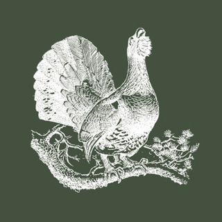 Логотип @ohotniki_ru - Охотники.ру