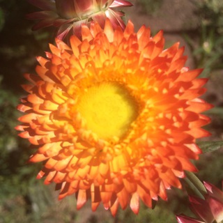 Логотип @oil_painting - Картина маслом