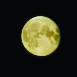 Логотип @oirikata - Oiri.kata