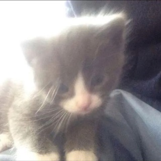 Логотип @ojinrio - запах одиночества