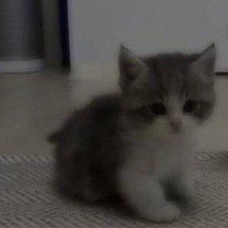 Логотип @okeeeybigx - Научились думать'